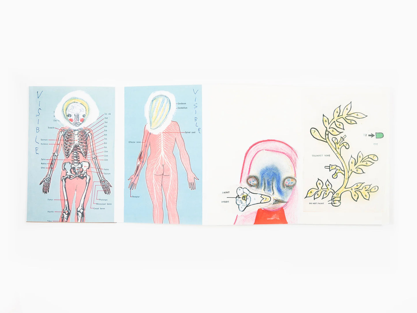 Izumi Kato - Visible Leporello  (Published by Perrotin)