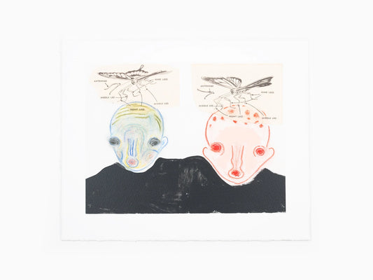 Izumi Kato - "Visible" Leporello (Special Edition Boy)