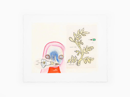 Izumi Kato - "Visible" Leporello (Special Edition Girl)