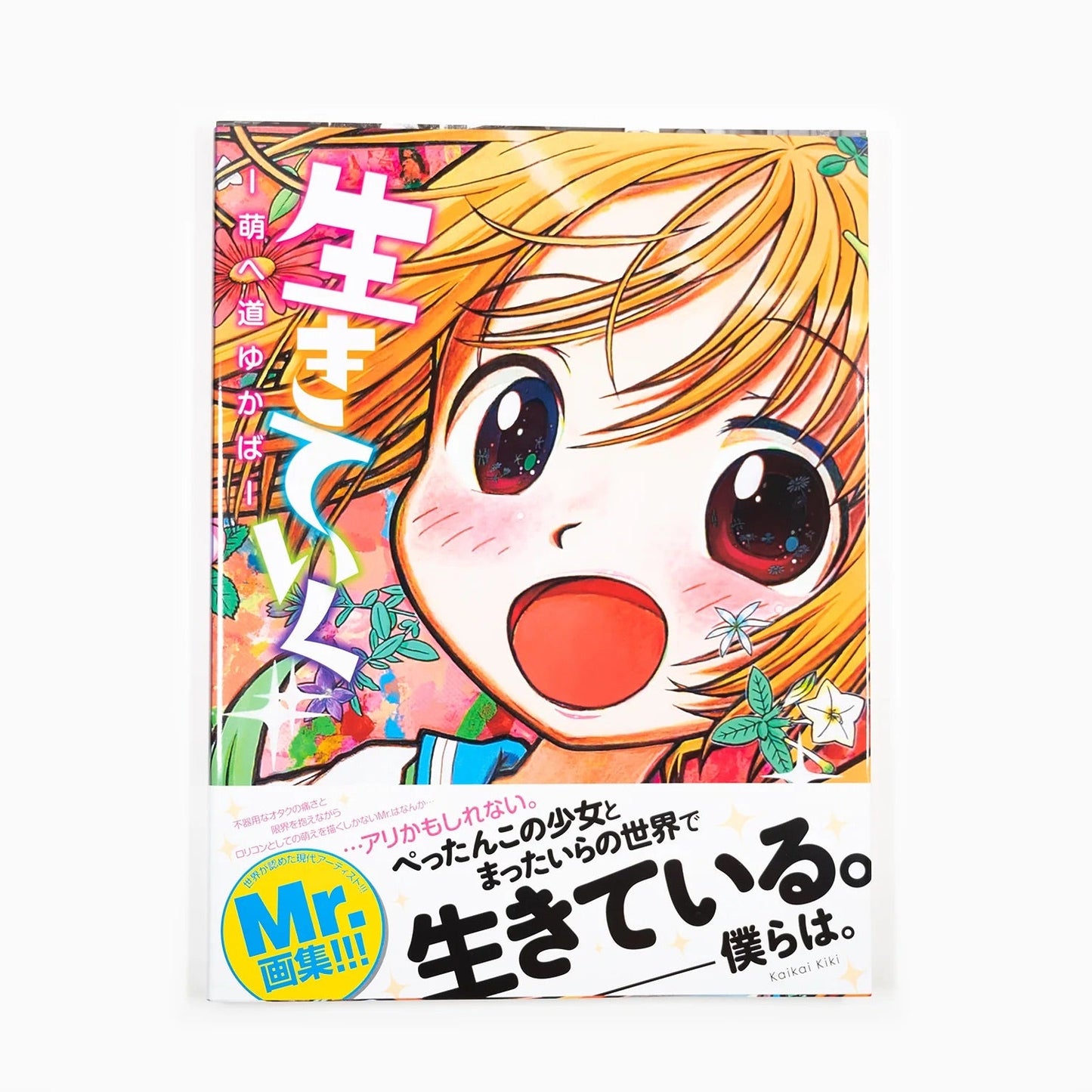 Mr. - Art book ikiteiku moe michi yukaba