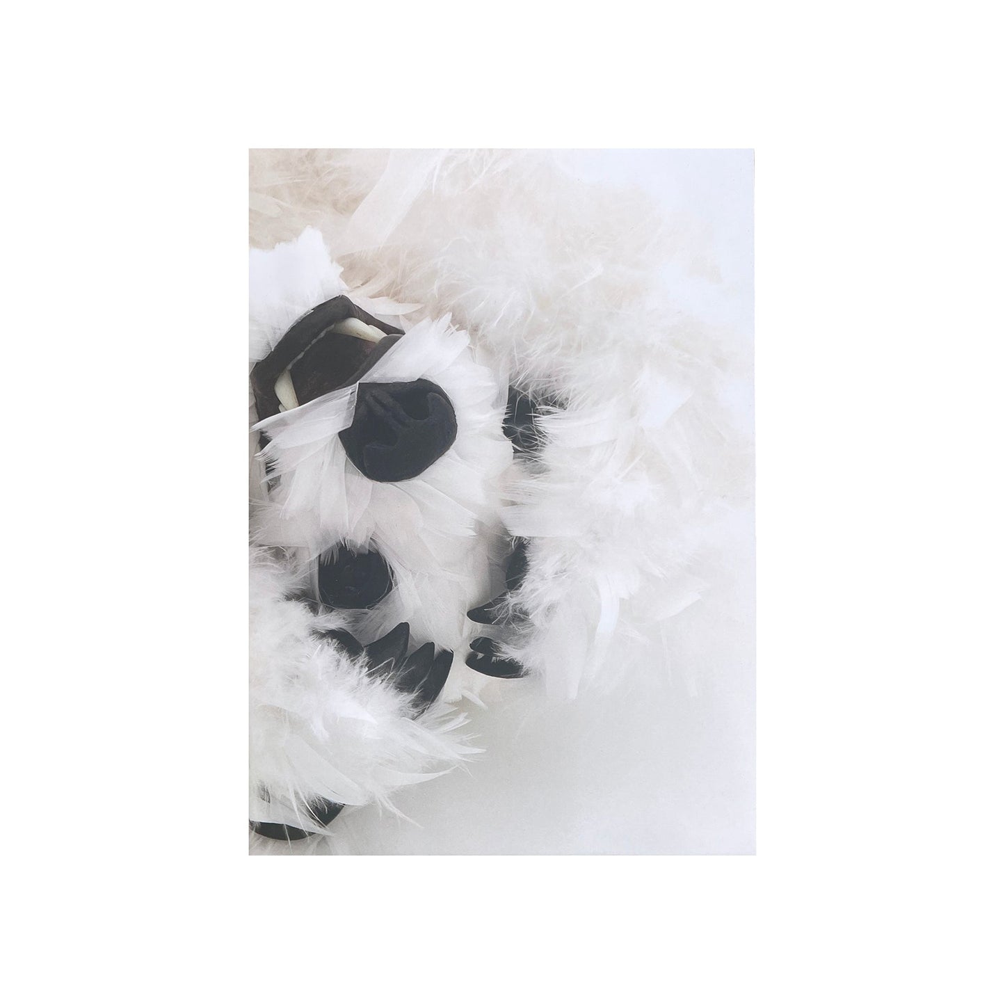 Paola Pivi - Baby Bear Journal (White)